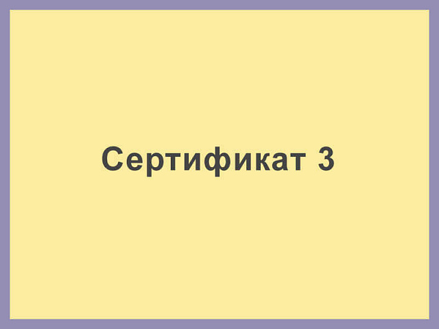 Сертификат 3